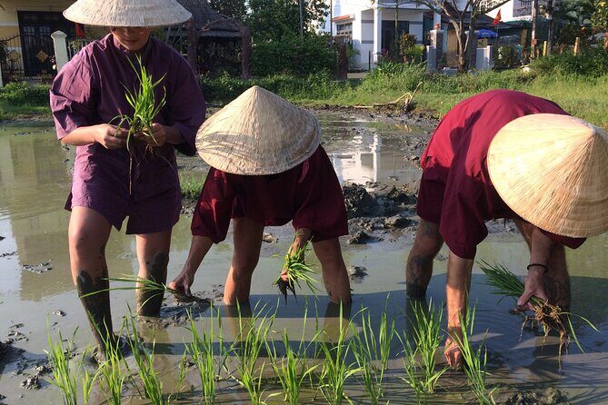Hoi An Rice Farm Tour and Buffalo Riding with Local Home Meal - Buffalo Riding in the Fields: The Moment You’ll Mention Later