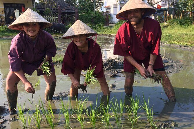 Hoi An Rice Farm Tour and Buffalo Riding with Local Home Meal - Live Cooking Demos and Lunch With a Local Rice-Farming Family