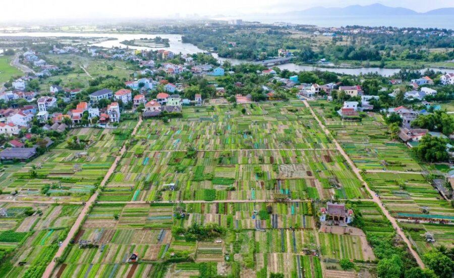 Hoi An: Rural Cycling Tour to Village with Basket Boat Ride - Market, gardens, boats, temples: how the stops fit together