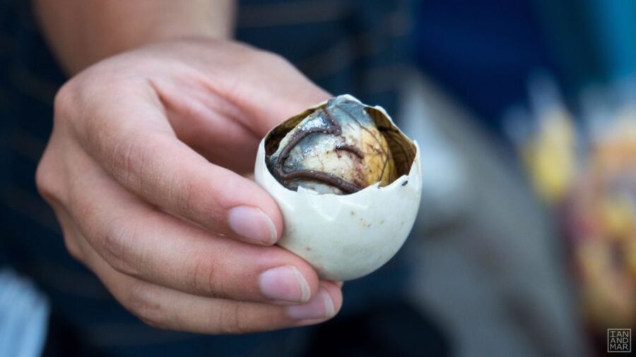 Hoi An Street Food Tour by Motorbike - Balut challenge: the food that tests your limits