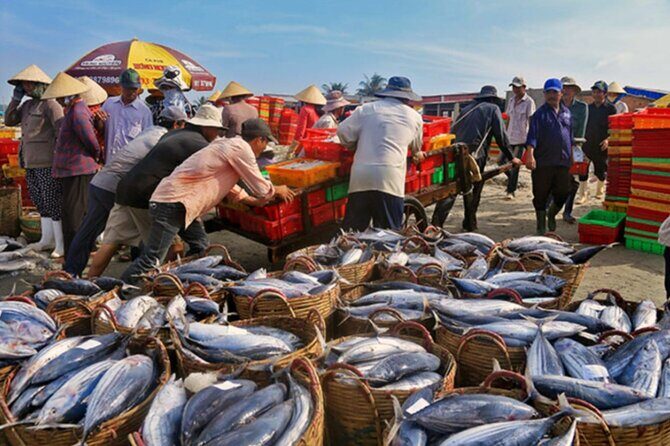 Hoi An Sunrise Fish Market Tour - Why this Hoi An Sunrise Fish Market Tour feels different