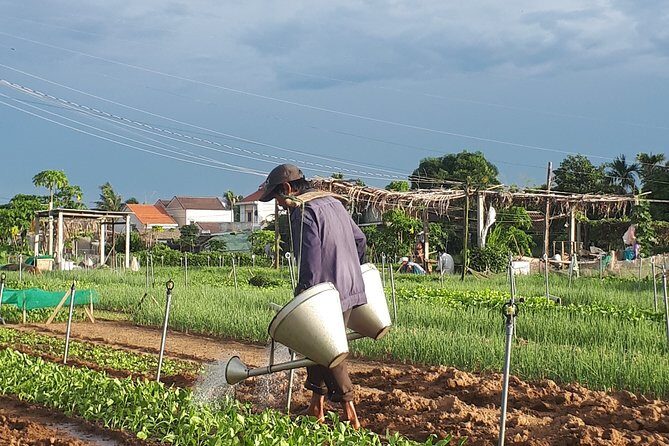Hoi An sunrise, fish market tour and taking photos( Private tour) - Duy Hai and Cua Dai Beach: variation without travel fatigue
