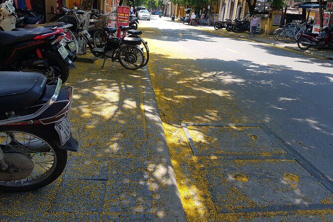 Hoi An town private walking tour with boat trip - Japanese Covered Bridge: Iconic Views With the Right Kind of Explanation