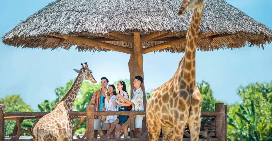 Hoi An: Vinwonders Nam Hoi An Theme Park Entry Ticket - Waterpark strategy: slides, wave pool, and a lazy river you’ll actually use
