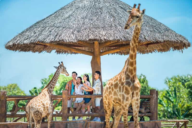 Hoi An: Vinwonders Nam Hoi An Theme Park Entry Ticket - Food, costs, and what to budget beyond the entry ticket