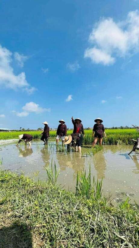 Hoi An Wet Rice Farming Tour-Basket Boat Tour Fishing-Lunch - Buffalo riding along the stream: fun factor and how to judge your comfort level