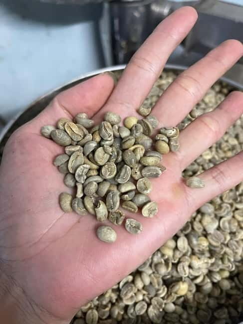 Hoi An:Coffee Making Class (Coffee: egg, Salt, Coconut, ...) - Vietnamese coffee in one hour: what this class is really like