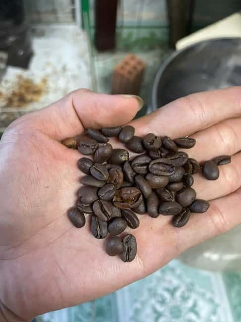 Hoi An:Coffee Making Class (Coffee: egg, Salt, Coconut, ...) - From crop to cup: how Vietnamese coffee ends up in your glass