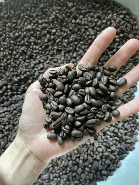 Hoi An:Coffee Making Class (Coffee: egg, Salt, Coconut, ...) - Inside the roastery: learning coffee culture, not just recipes