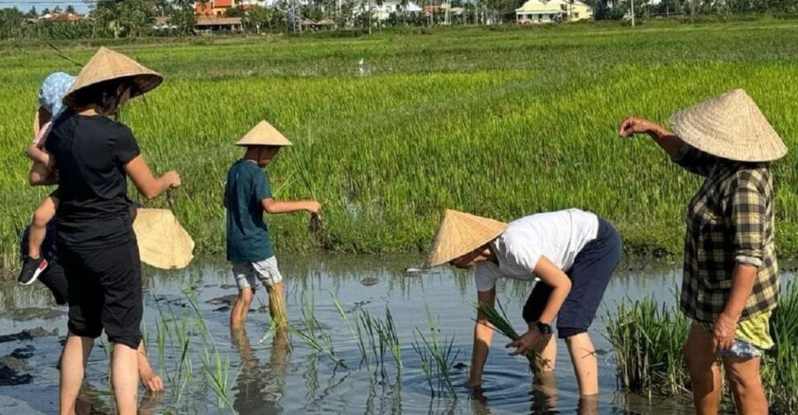 Hoi An:Cycling,Traditional Farming & Fishing Life Experience - Stop-by-stop: rice paddies, shrimp farms, and farmer life