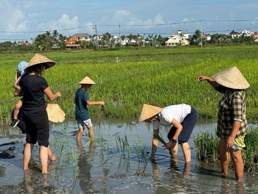 Hoi An:Cycling,Traditional Farming & Fishing Life Experience - Getting picked up and biking the 6–7 km loop
