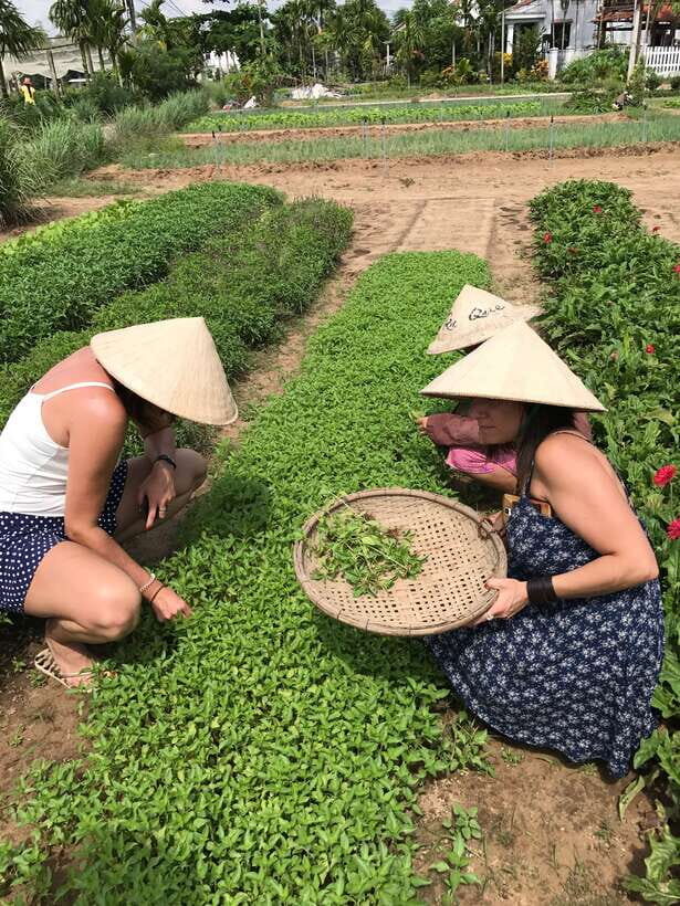 Hoian/Da Nang: Fishing, basket riding and cooking class - The River Part: Basket Boats Through Hoi An Channels
