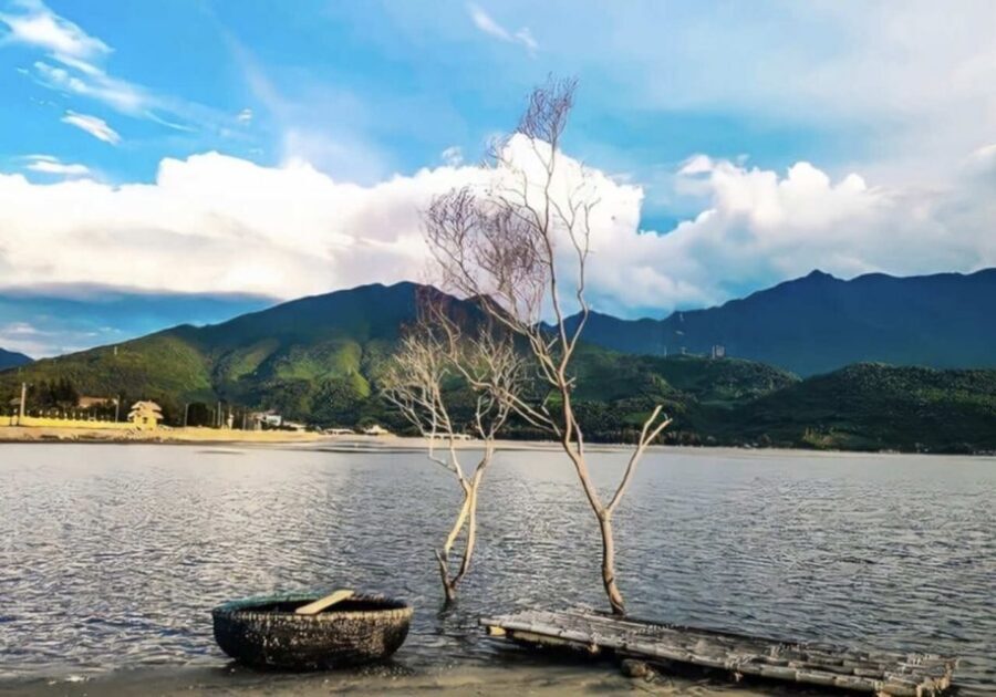 Hue City Tour Full Day - Depart from Da Nang / Hoi An - Timing and comfort: a realistic look at your 11-hour schedule