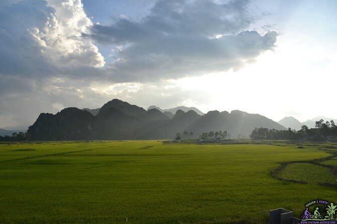 Mountain Bike Riding from Hoi An - The route: rice fields, bamboo crossings, and river islands