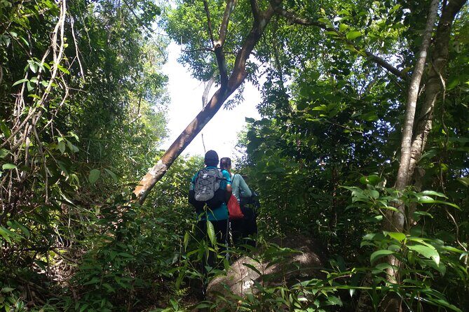 My Son sanctuary and mountain trekking - The Light Breakfast and Coffee Before You Hit the Jungle Paths