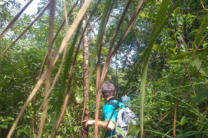 My Son sanctuary and mountain trekking - Trekking With a Local Guide Who Has Seen the Terrain Up Close
