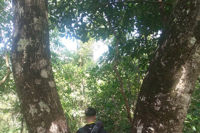 My Son sanctuary and mountain trekking - Snacks, Rest Stops, and the Barbecue Moment by the Stream