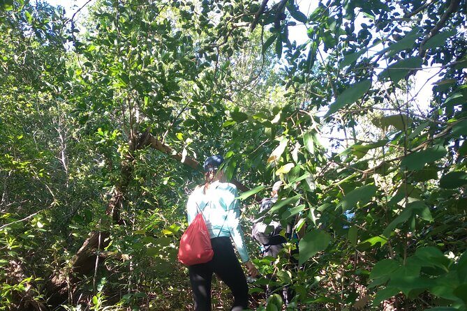 My Son sanctuary and mountain trekking - Timing That Lets You Keep Your Afternoon Free