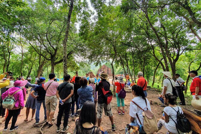 My Son Sanctuary Discovery Half day Private Tour - Temples, carvings, and the UNESCO factor (without the museum fog)