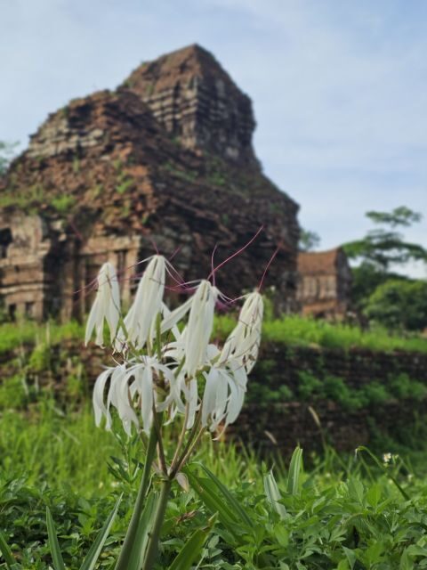 My Son Sanctuary Morning/Afternoon with Boat Trip and Banhmi - Getting From Hoi An: The Smooth Van Start (Not the Big-Bus Mess)