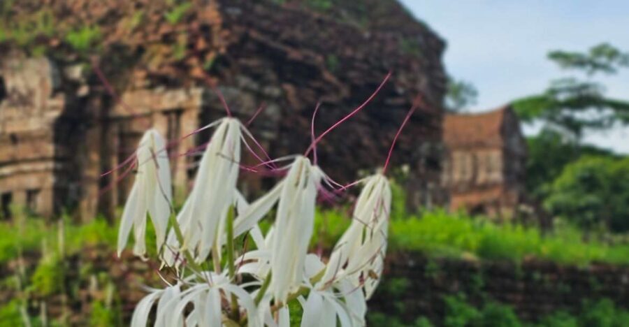 My Son Sanctuary Morning/Afternoon with Boat Trip and Banhmi - FAQ