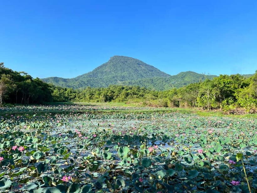 MY SON SANCTUARY - RICE PAPER MAKING DELUXE TOUR FROM DANANG - Điện Bàn photo stop and food tasting: where the day gets local