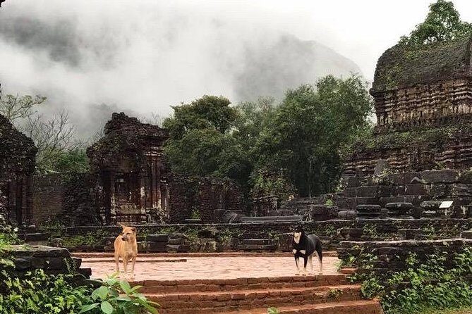My Son Sanctuary Sunrise Private Tour - The walking rhythm: how a 4–5 hour morning stays manageable