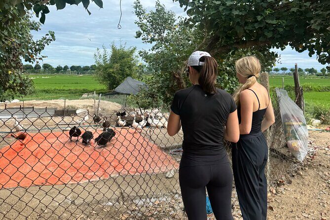 Private Half-Day Hoi An Tour for Families, Couples & Small Groups - Hoi An Old Town After the Countryside: Market Streets and Heritage Stops