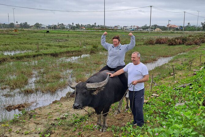 Private Hoi An Countryside: Biking, Basket boat, buffalo, foods - Small-group comfort, hotel pickup, and how the day flows