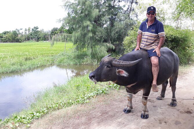 Private Hoi An Countryside: Biking, Basket boat, buffalo, foods - Biking to Tra Que: vegetable plots, buffalo by the river, and rice fields