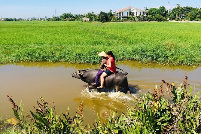 Riding Water Buffalo and Basket Boat Hoi An Private Bike Tour - Why This Countryside Bike and Buffalo Day Works in Hoi An