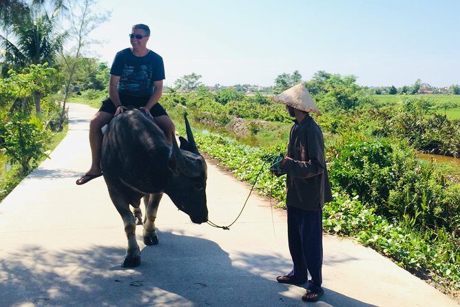 Riding Water Buffalo and Basket Boat Hoi An Private Bike Tour - Bay Mau Coconut Forest, Basket Boats, and the Water Buffalo Meet
