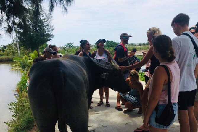Riding Water Buffalo and Basket Boat Hoi An Private Bike Tour - Price, Private Guide Service, and Bike Comfort at $29