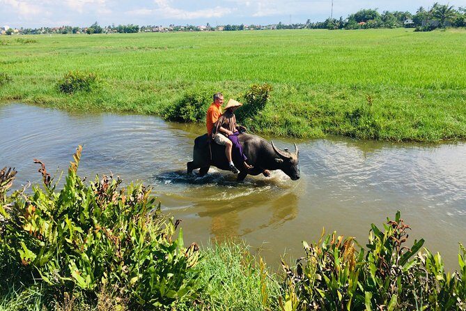 Riding Water Buffalo and Basket Boat Hoi An Private Bike Tour - Should You Book This Ride and How to Decide Fast