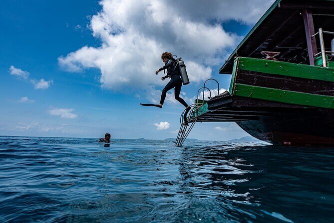 Scuba Diving Tour in Cham Island for certified divers or Beginners - Cham Islands Day Trip: UNESCO Reefs Off Hoi An