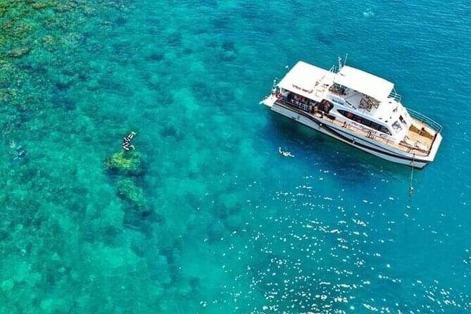 Scuba Diving Tour in Cham Island for certified divers or Beginners - Price Check: Is $155 Worth It?