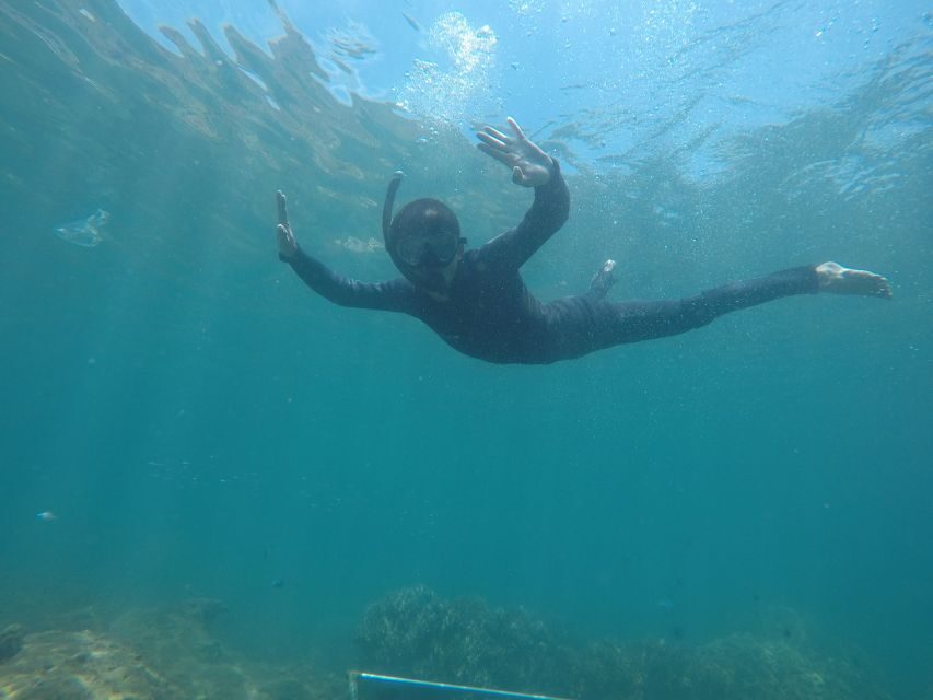 Snorkeling Cham Island: Snorkeling Tour by Speed Boat - Speed boat ride comfort: timing, waves, and getting wet