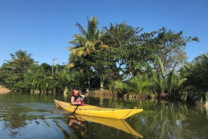 Sunset Paddle and Lantern Town - The water route: mangroves, villages, and the Thu Bon River feel