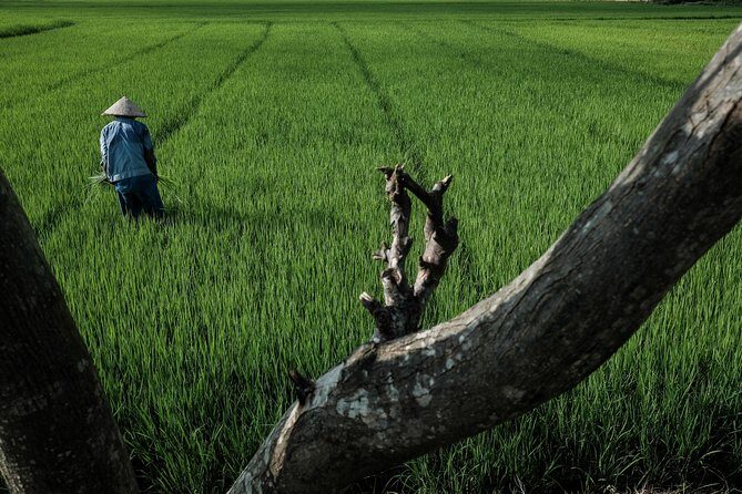 Sunset photo tour with the farmers - Price check: does $55 match what you get?