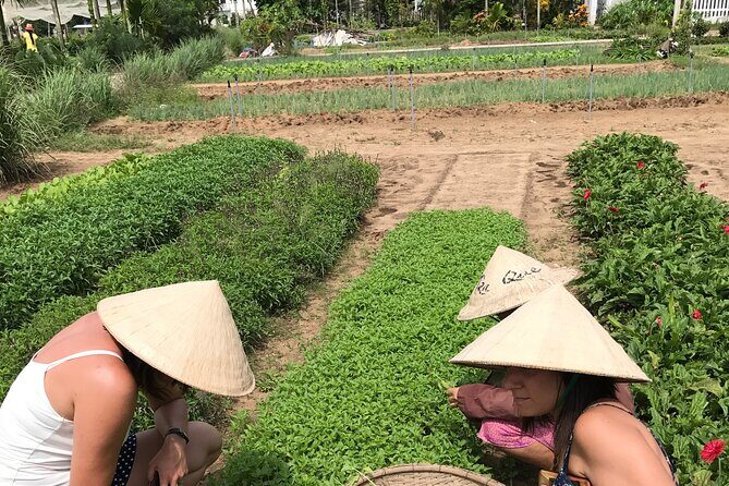 Tra Que Village Cycling And Farming - Group size, pickup, and how to plan your morning