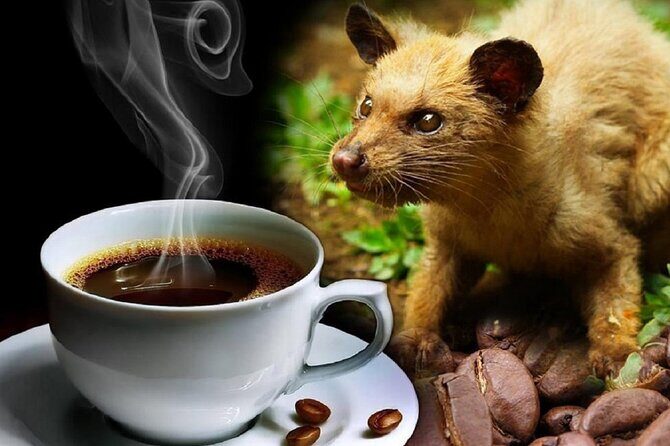 Vietnamese Culture and Coffee Making Class - The Five Coffees You Make (and What They Teach You)