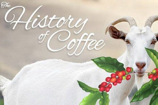 Vietnamese Culture and Coffee Making Class - Vietnamese Coffee and Culture: The French Influence Part